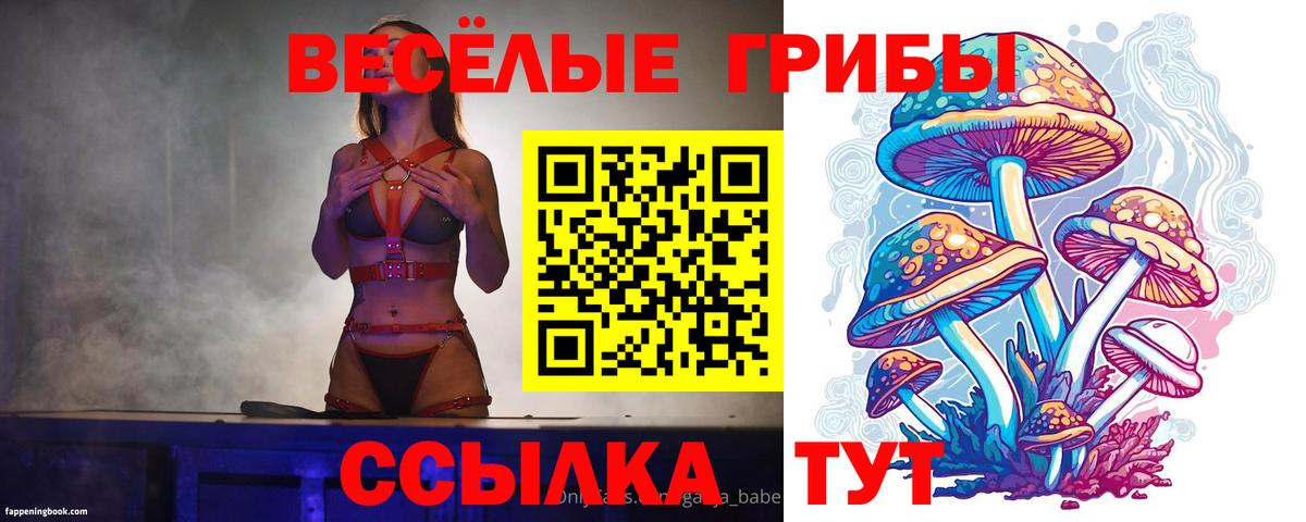 Галлюциногенные грибы Cubensis Семилуки