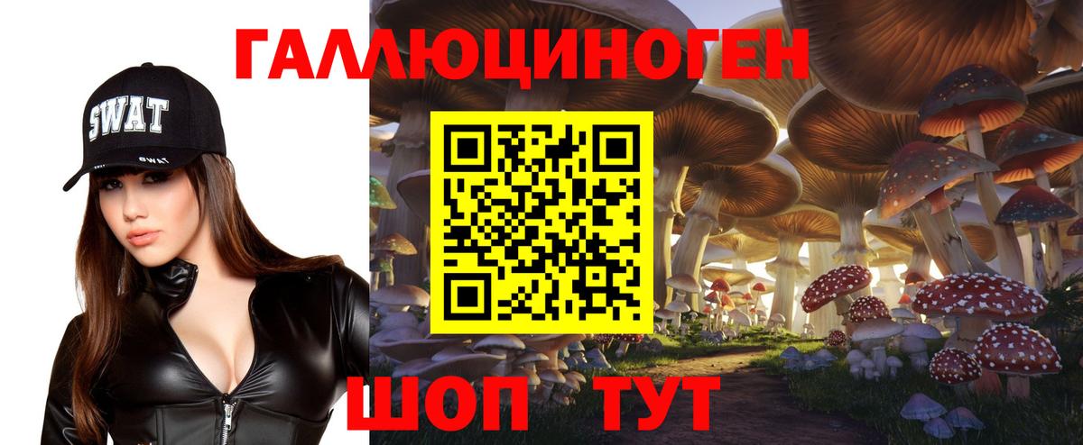 Псилоцибиновые грибы GOLDEN TEACHER  Галлюциногенные грибы Cubensis  Семилуки  Вход с VPN 